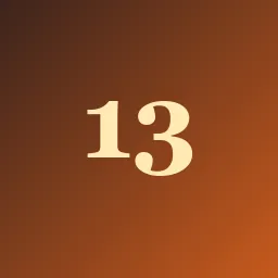 Partner 13