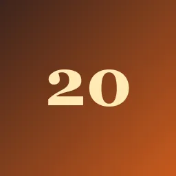Partner 20